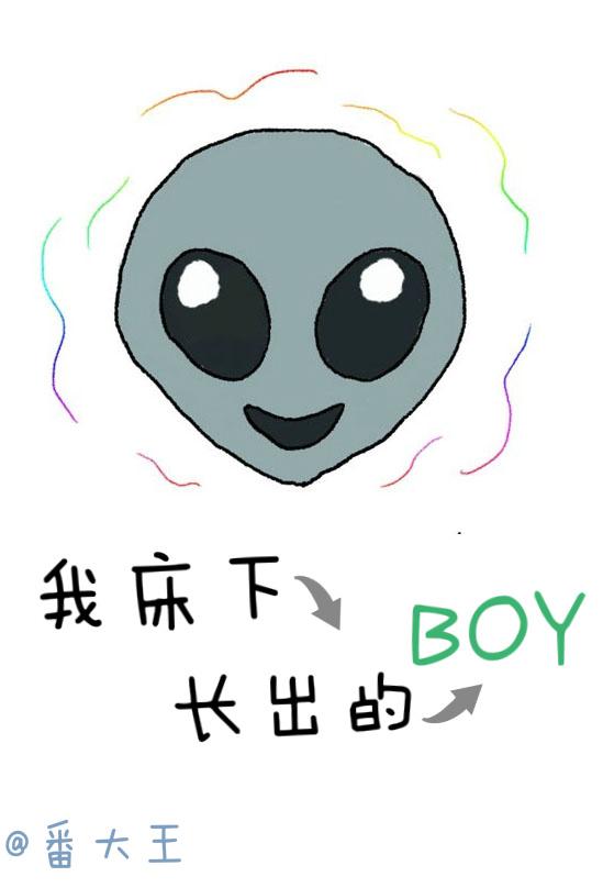 我床下长出boy结局书评