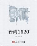 台湾1620的近代史的史实