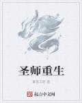 关于主角圣师的