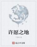 许愿之地是什么游戏