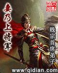 妻乃上将军pdf