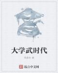 武汉时代大学简介