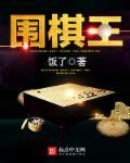 围棋王硕