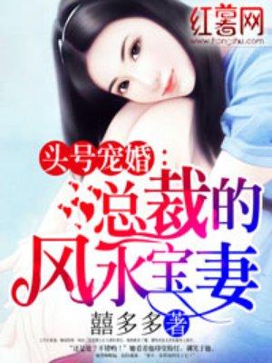 总裁珠光宝妻