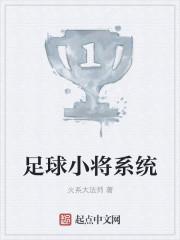 足球小将合集