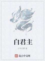 白王和四大君主