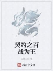 契约之战组合