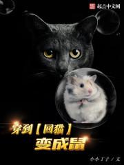 主角穿越变成猫