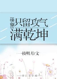 只留攻气满乾坤快穿无防盗格格党