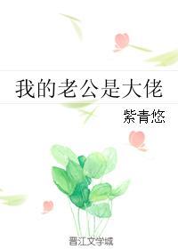 我的老公是大佬讲的什么