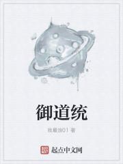 御纂道统正宗pdf