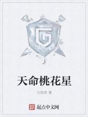 天命星是代表什么