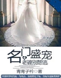 名门隐婚之老婆乖乖让我宠