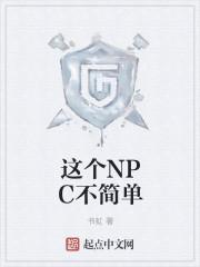 NPC最简单解释