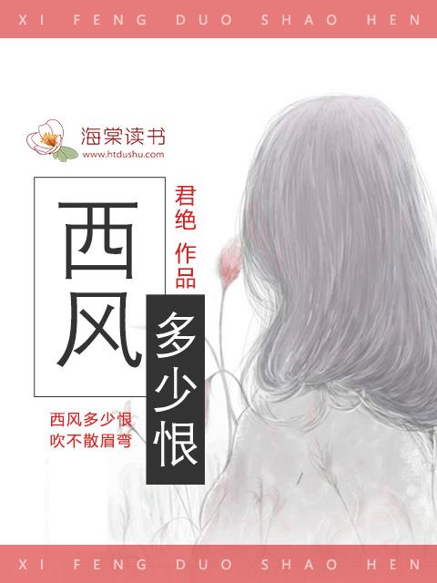 西风多少恨 吹不散眉弯(精装版)