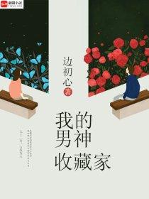 我的男神收藏家txt