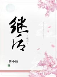 继后txt 作者简小酌