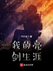 我的亮剑生涯无错版