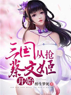 三国从抢蔡文姬开始作文