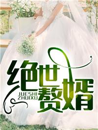 绝世赘婿叶昊全本最