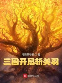 三国开局斩关羽华雄妻子