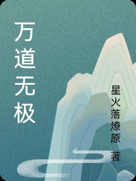 张君宝无极之道