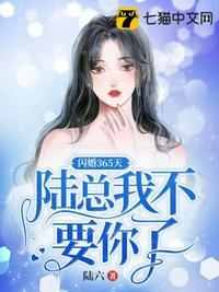 闪婚蜜爱陆晚晚