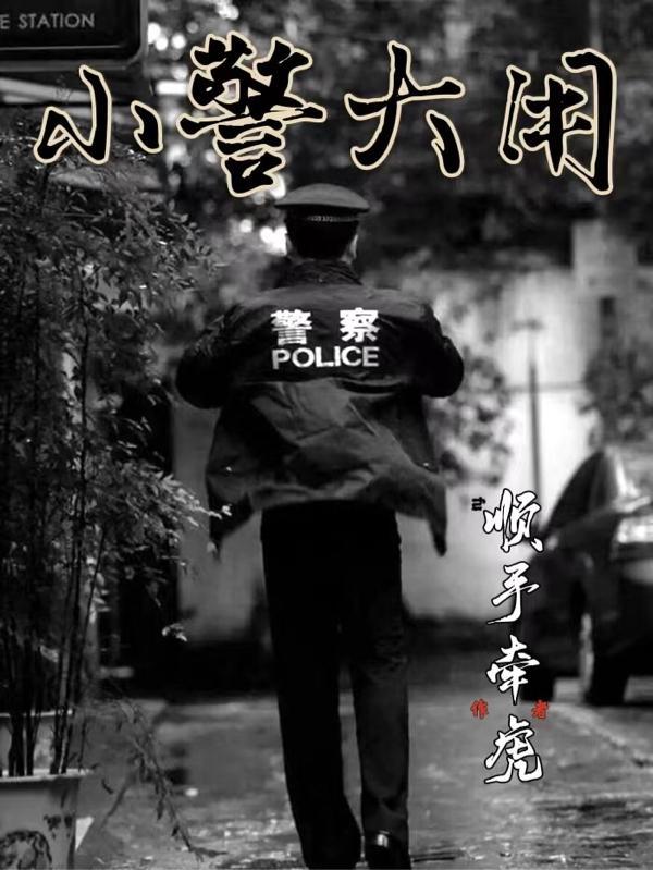 小警大用改编的电视剧