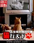 猫行天下金耳