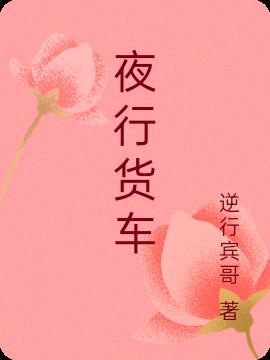 夜行货车电影张丰毅林芳兵