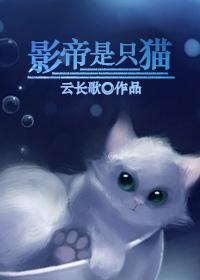 影帝是只猫青鸟临星