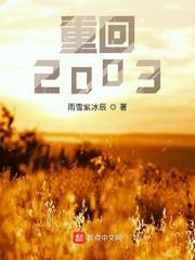 重回2003赵峰笔趣