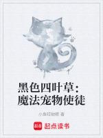 黑色四叶草魔法领域是什么