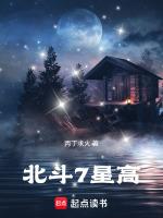 北斗7星高哥舒夜带刀