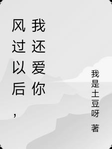 风吹过以后歌曲