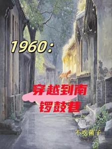 年代我在四合院抓特务