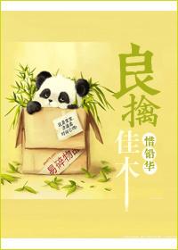 良禽佳木属于几线品牌啊