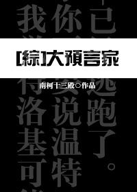 综大预言家无防盗