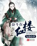 奋斗在红楼无删减版