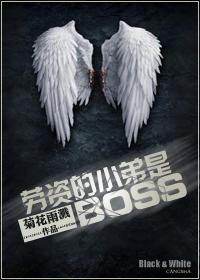 劳资的小弟是BOSS(系统)