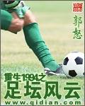 重生1994之足坛风云